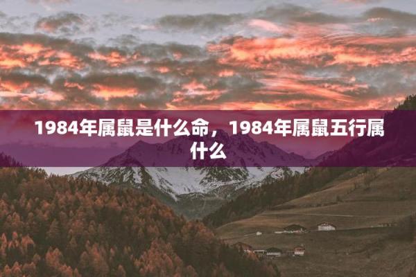 2020年属鼠的命运与性格分析：你必须知道的秘密！