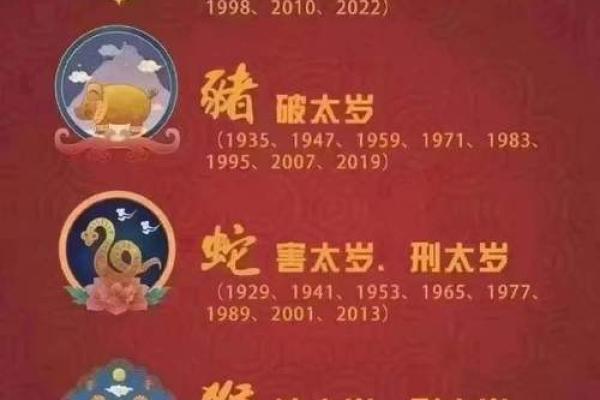 2013属蛇人的命理解析：揭示命中的秘密与机遇