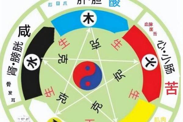 五行水命命局的深刻解析与人生启示