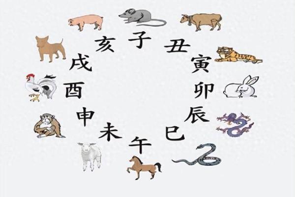 生肖猪命最佳解析：何种命理带来福气与幸福？