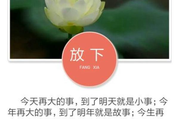 探索巳时属狗的命运与性格特点，揭示生活的真谛与智慧！