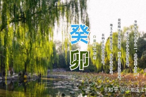 丁卯生肖命格解析：揭示你的性格密码与命运轨迹