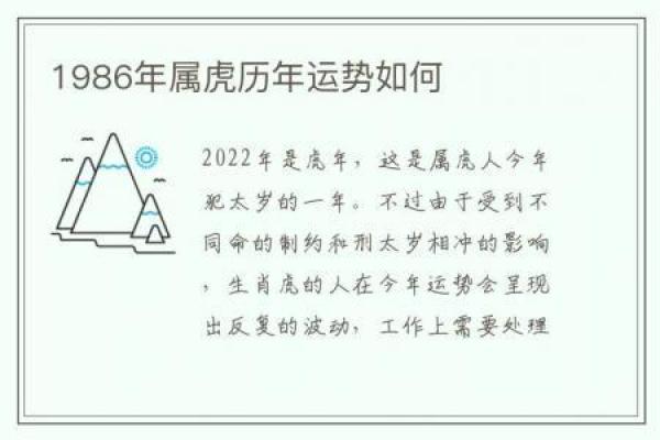 1992年虎年出生的生肖命运与个性解析