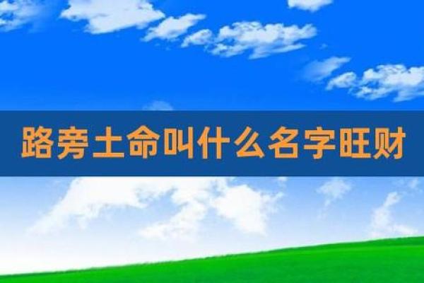 土命人适合与哪些命人携手共进，朋友与伴侣的最佳选择解析