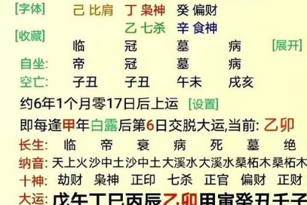 丁卯火命人如何选择行业：优势与发展前景解析