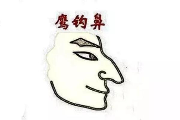 头骨很大很圆的命理解析：你命中注定有何不同？