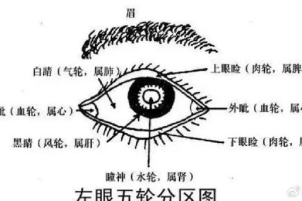 眉毛寡淡的人命运如何？揭示眉毛与命运的微妙关系