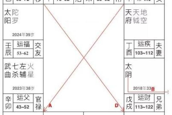 深入解析紫薇命主：生命之星的奥秘与命运之道