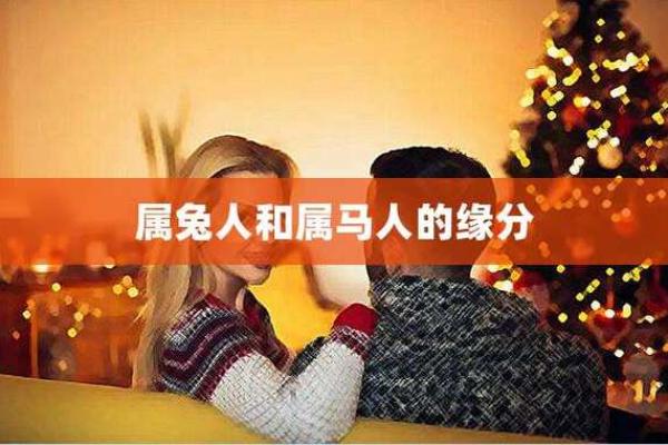 1975年属兔的命与婚配：细说兔年的缘份与相合之道