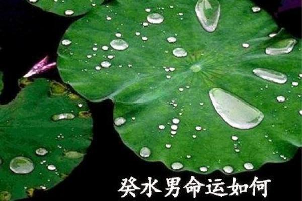 三金三水男命解析：命运之河中的金与水交融之道