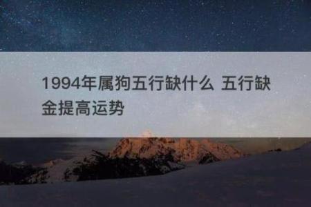 属狗各时生人命运解读：揭示你的命格与性格奥秘