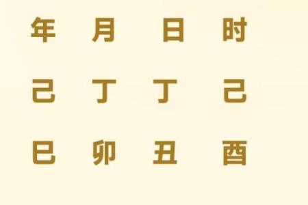 揭秘2005年出生者的命运：真正的木命与人生方向