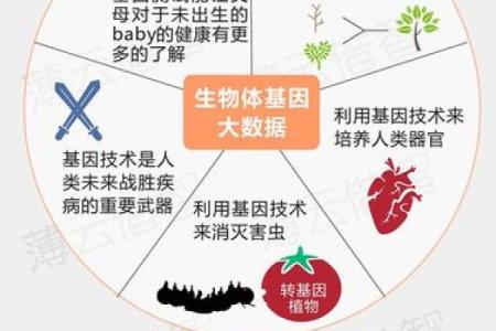 揭示命运的奥秘：走进年份命格的世界