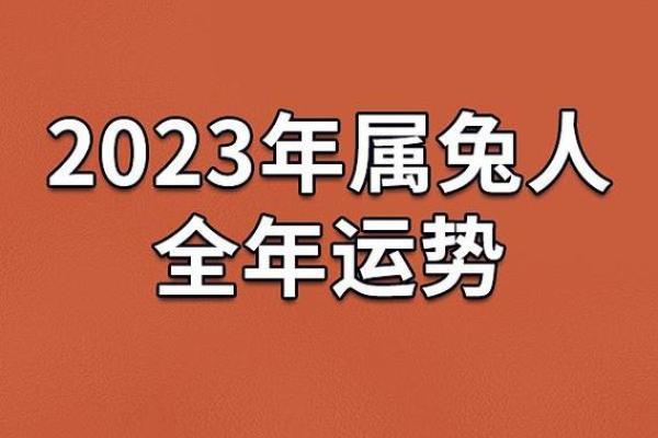 2023年：兔年运势解析与命理启示