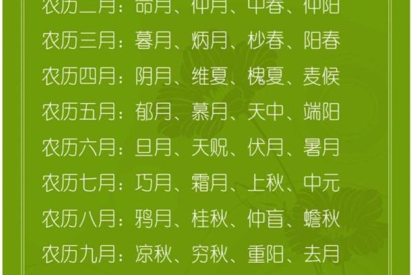 探寻农历正月之命：揭示新年的神秘力量与命理智慧