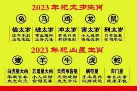 2023年属什么命：解读这个充满希望与挑战的一年