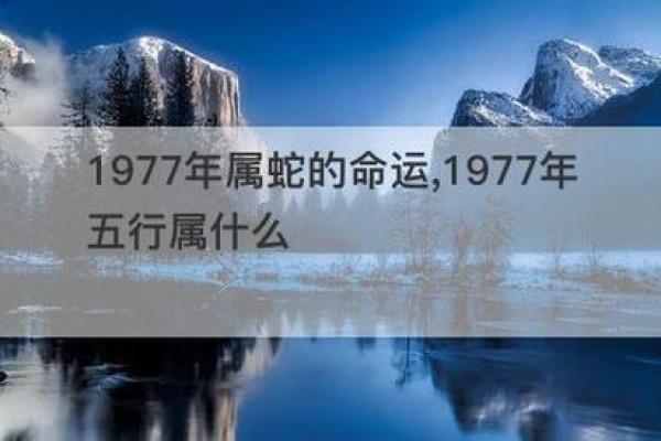 属蛇人1953年出生的命运与生活智慧解析