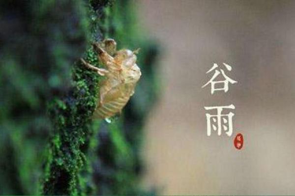 山涧水1996年命运解读：寻求内心平衡与自我实现的旅程