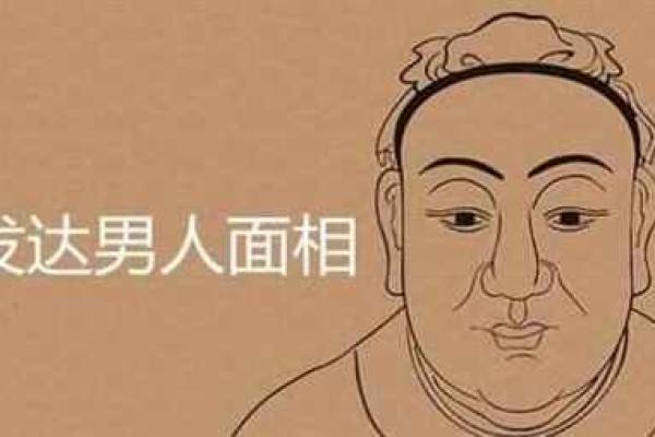 女人有通天鼻的命运揭秘：从相学看人生起伏