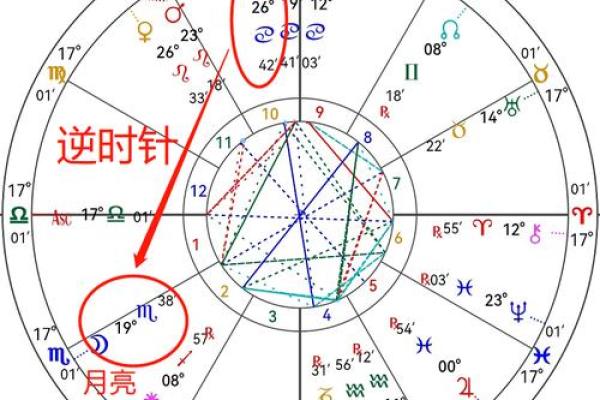 每月生日解析：你的命运与个性揭秘