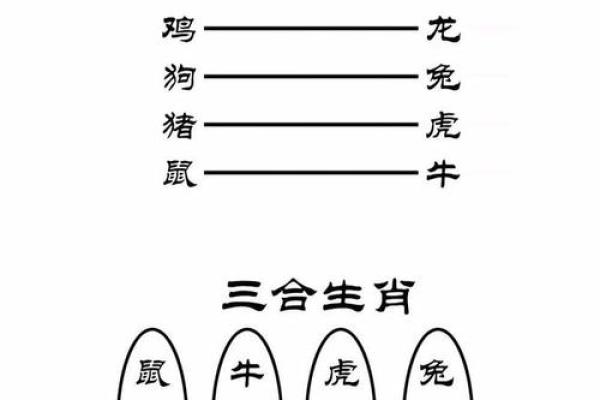 1963年属龙的命理解析：揭示他们的性格、职业与运势