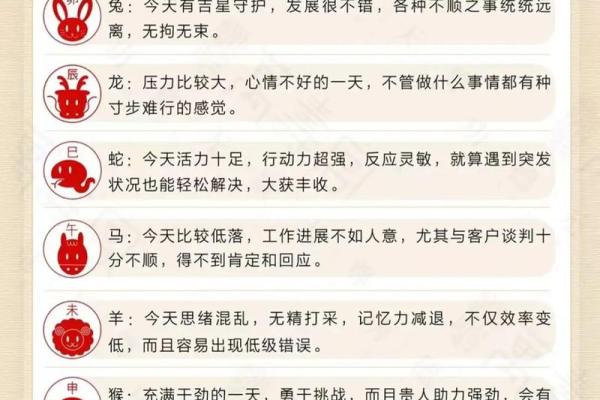 农历1994年出生的人：五行命理与生活运势解析