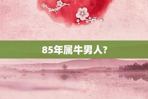 73年出生的牛命：深度解析与人生启示