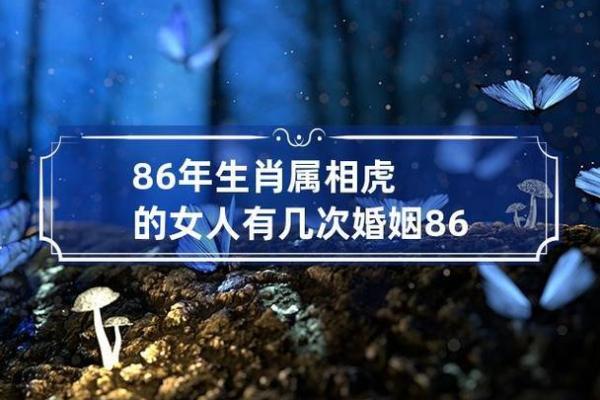 命理中的“三个虎”象征与人生解析：如何充分利用自己的命运优势