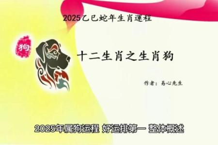 属狗人26岁运势解析：如何把握机会与挑战