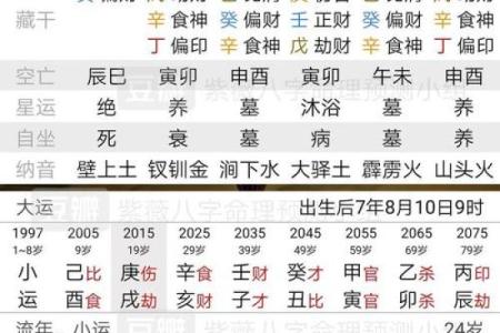 探寻命理：揭开“人元命格”的神秘面纱