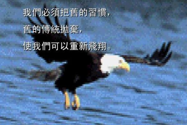 1991年土命解读：与大自然的亲密联系与人生启示