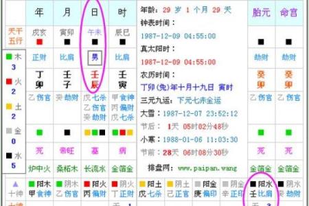 水命八字解析：选择适合数字提升运势的秘籍！