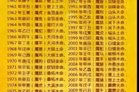 2020年是什么土命？探寻土命人的独特魅力与人生轨迹