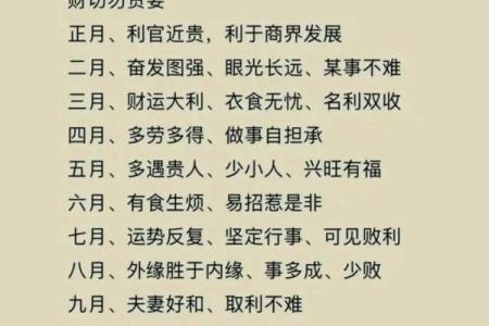 虚岁26岁属什么命？深度解析命理与人生轨迹