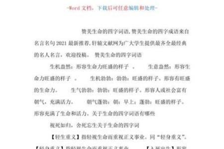 探索命词的深意：揭示词语背后的哲学与文化内涵