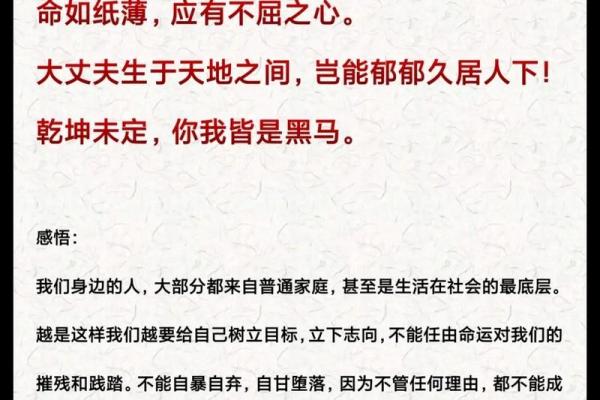 应命是什么意思？探讨生活中顺应命运的智慧与意义