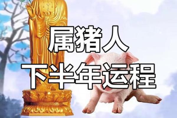 属猪中午出生的命运与性格解析：揭开猪年宝宝的神秘面纱