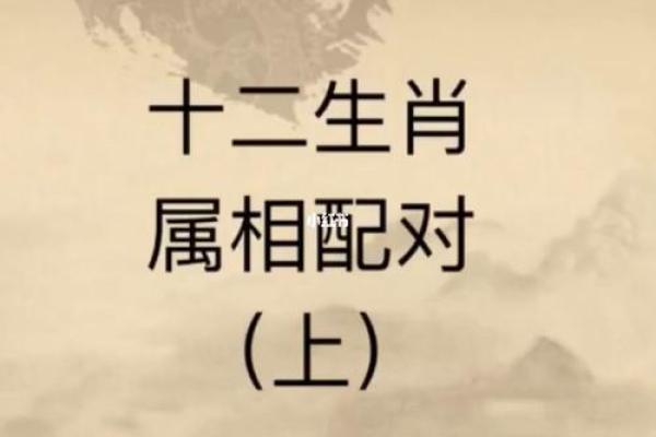 根据生肖命运解析：你的生肖是什么命运的窗户？