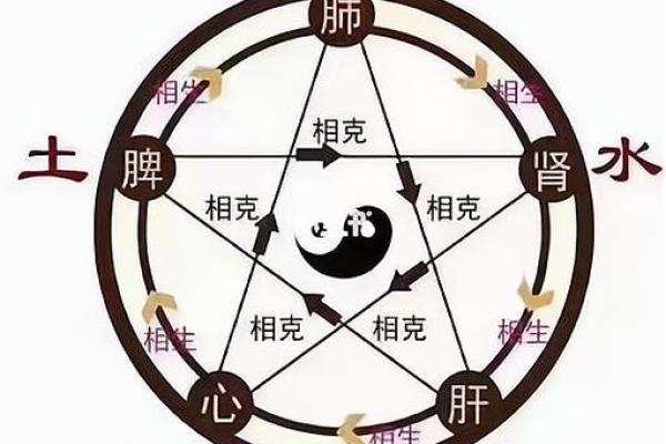 23虚岁是什么金命：解读金命与人生的奥秘