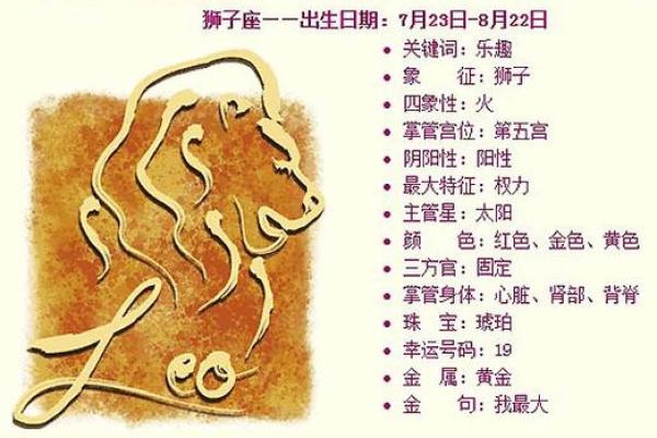 2019年命理解析：探秘属于你的运势与挑战