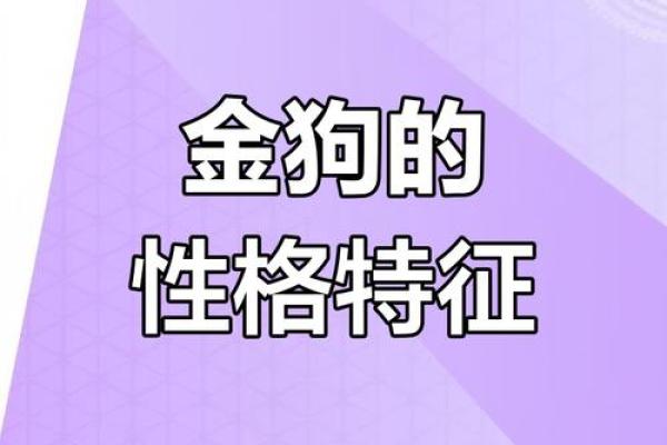 狗年出生者的命运与性格探秘：2016年属狗的人生解析