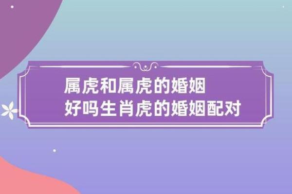 1962年属虎，水命人一生的运势与性格解析