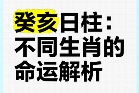 辛亥乙巳辛亥命理解析：探秘命运背后的深意与智慧