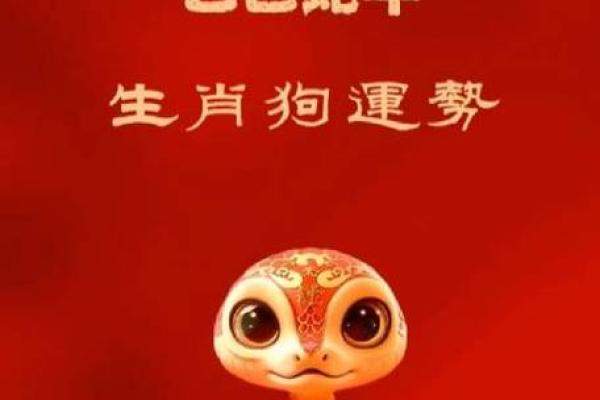 解密2016年狗年：狗年命运与运势全解析！