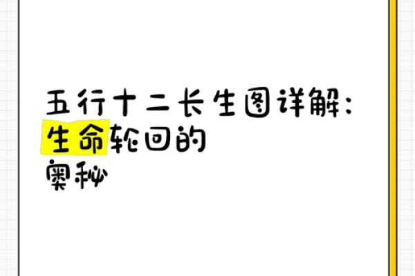 2019年出生的孩子，命运与五行的奥秘探讨！