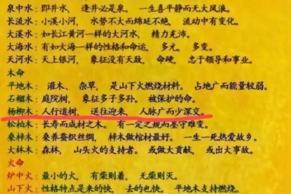 1996年属火命的独特命理解析：活力与激情的象征