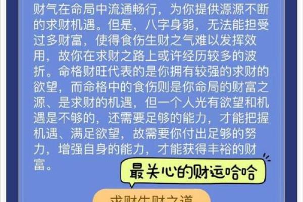 揭开富贵多福的命格之谜——探寻命理的奥秘与人生的精彩！