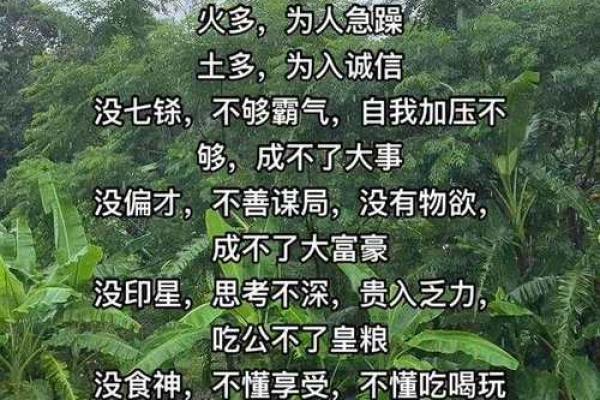 探秘木命食神：与生肖的神秘联系