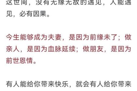 探寻82年属狗人的命运：智慧、忠诚与信念交织的人生旅程