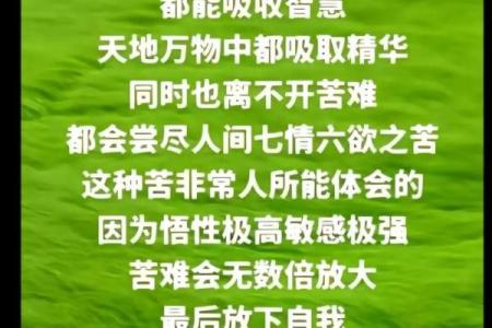 山头火命的人需避忌的事物与生活智慧分享